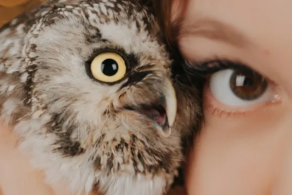 Casino B Bets Podrška